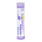 ARNICA MONTANA 30CH TU ARNICA MONTANA 30CH TU