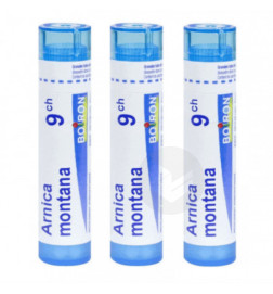 ARNICA MONTANA 9CH 3TG B