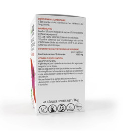 ARKOGELULES ECHINACEE BIO BTE 45 GELULES