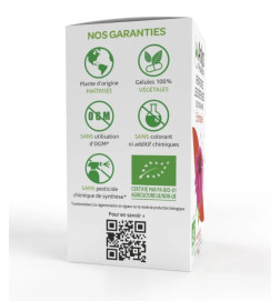 ARKOGELULES BIO ECHINACEE BTE 45