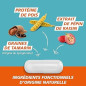 GAVIDIGEST DIARRHEE GELUL 30