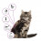 DRONTAL-CHAT-DUO-vermifuge-interne-produit-veterinaire 