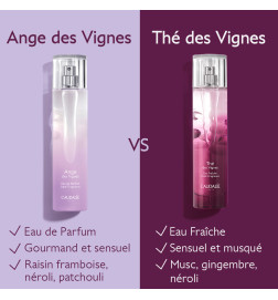 CAUDALIE EAU DE PARFUM ANGE DES VIGNES 50ML