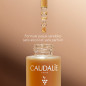 CAUDALIE VINOCRUSH GOUTTES SOLAIRES AUTOBRONZANTES 15ML