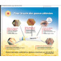 MELIBIOTECH REVAMIL Baume Miel pur 25% 15g MELIBIOTECH REVAMIL Baume Miel pur 25% 15g