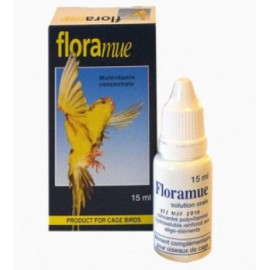 FLORAMUE plumage 