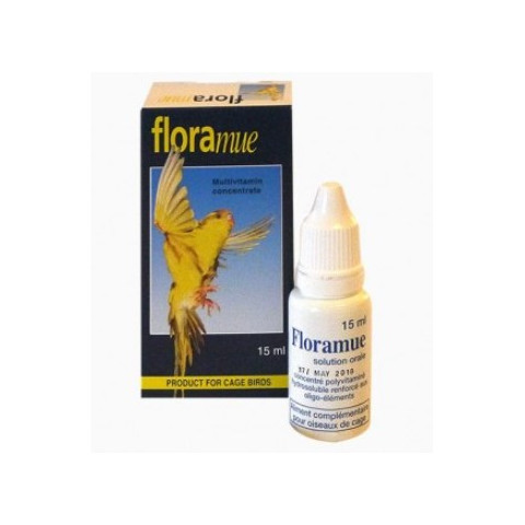 FLORAMUE plumage 