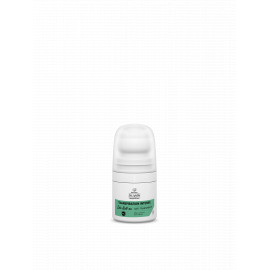 DEO ROLL-ON ANTI TRANSPIRANT 48 H