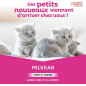 CLEMENT THEKAN MILKKAN KIT Chiot/Chaton CLEMENT THEKAN MILKKAN KIT Chiot/Chaton