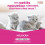 CLEM/THEK MILKKAN KIT CHIOT/CHATON