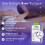 ARKOPHARMA Constipation Occasionnelle 10 Sachets