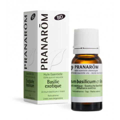 BASILIC EXOTIQUE Huile Essentielle tonique digestif