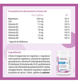 ERGYMAG Boite de 90 gélules