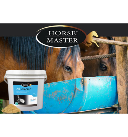 AIL SEMOULE pour CHEVAUX Farnam seau de 1 kg