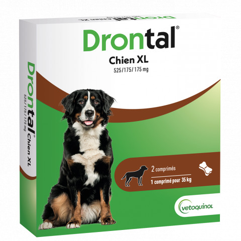 DRONTAL P XL GRAND CHIEN