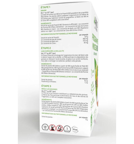 ARKOFLUIDE PROGRAMME MINCEUR BIO BTE 30