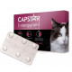 CAPSTAR CHAT 11,4 mg Boite de 6 comprimés