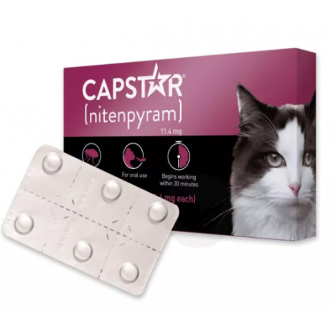 CAPSTAR CHAT 11,4 mg Boite de 6 comprimés