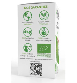 ARKOGELULES NOPAL BIO BTE 45 GELULES