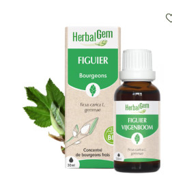 MACERAT FIGUIER BIO HERBALGEM Régulateur endocrinien