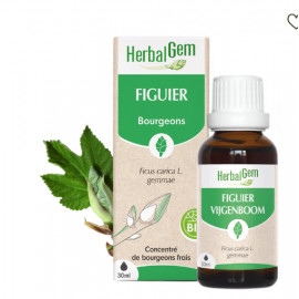 HERBALGEM FIGUIER bourgeons macérat Bio 30mL