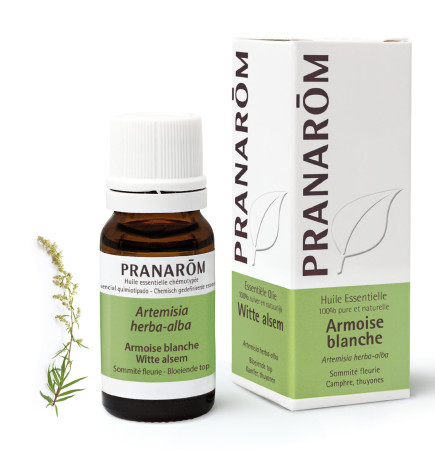 ARMOISE BLANCHE Huile essentielle Pranarom 10 mL
