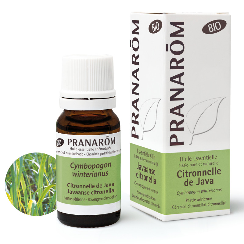 CITRONNELLE de JAVA BIO Huile Essentielle CITRONNELLE de JAVA BIO Huile Essentielle