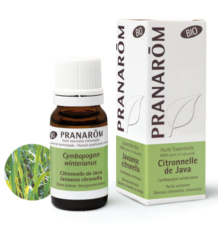 CITRONNELLE de JAVA Huile Essentielle 10ML