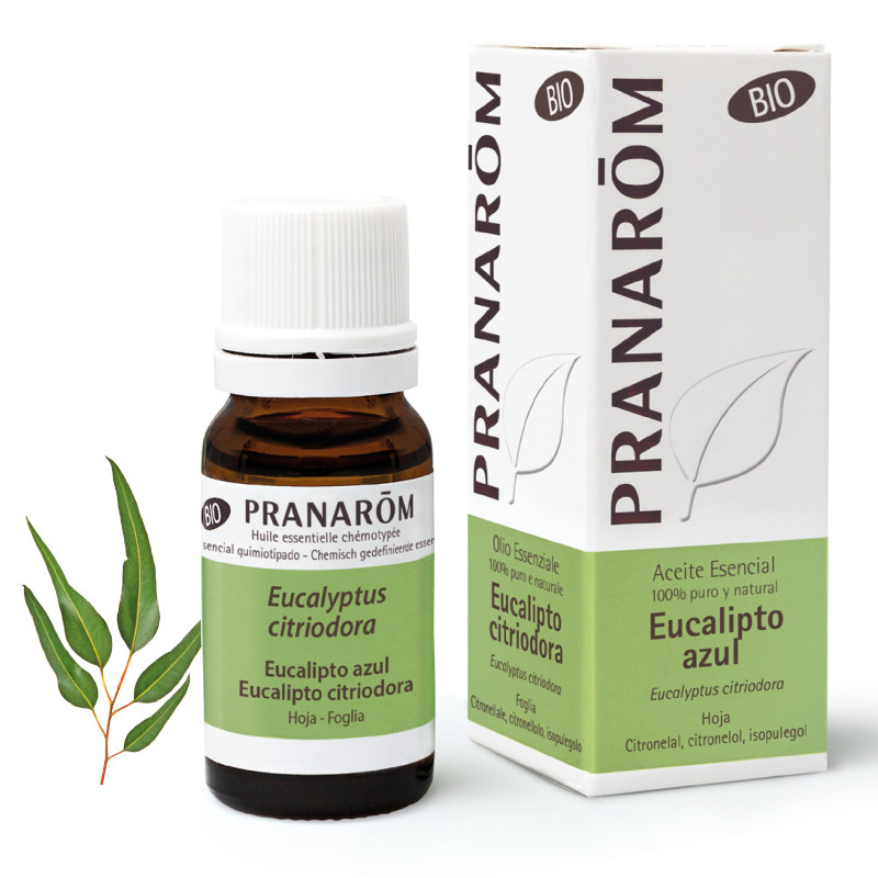 EUCALYPTUS CITRONNE Huile Essentielle BIO EUCALYPTUS CITRONNE Huile Essentielle BIO