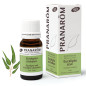 EUCALYPTUS CITRONNE Huile Essentielle BIO EUCALYPTUS CITRONNE Huile Essentielle BIO