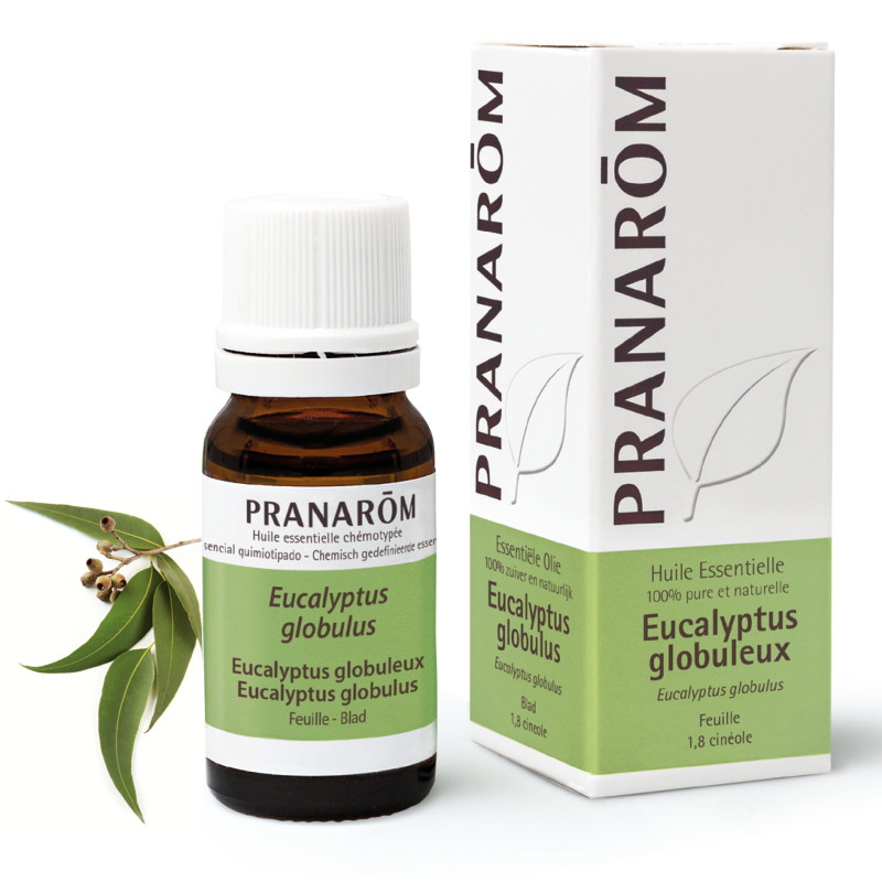 EUCALYPTUS GLOBULEUX Huile Essentielle Pranarom 10 ml EUCALYPTUS GLOBULEUX Huile Essentielle Pranarom 10 ml