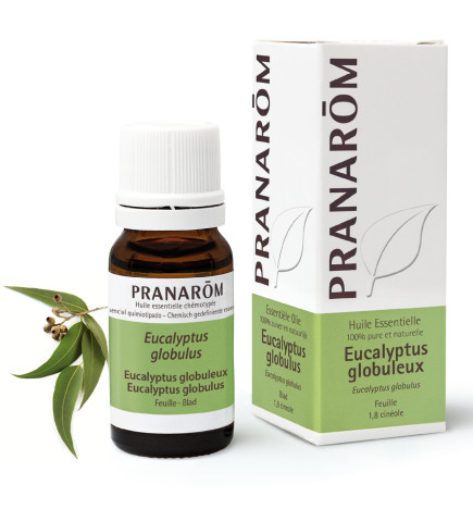 EUCALYPTUS GLOBULEUX Huile Essentielle Pranarom Dermites Problèmes respiratoires