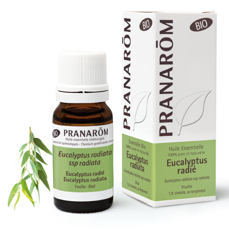 EUCALYPTUS RADIÉ BIO Huile essentielle EUCALYPTUS RADIÉ BIO Huile essentielle