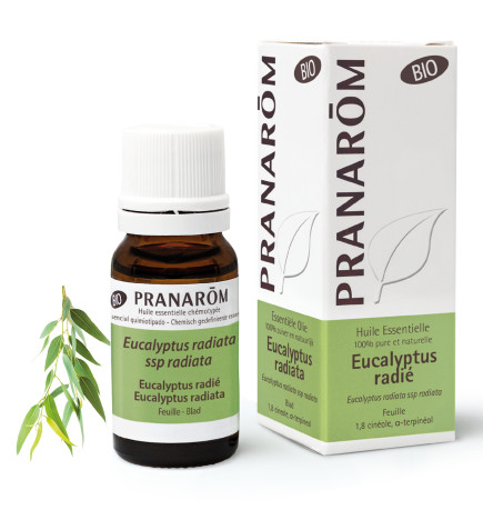 Huile Essentielle EUCALYPTUS RADIE Stimulant immunitaire