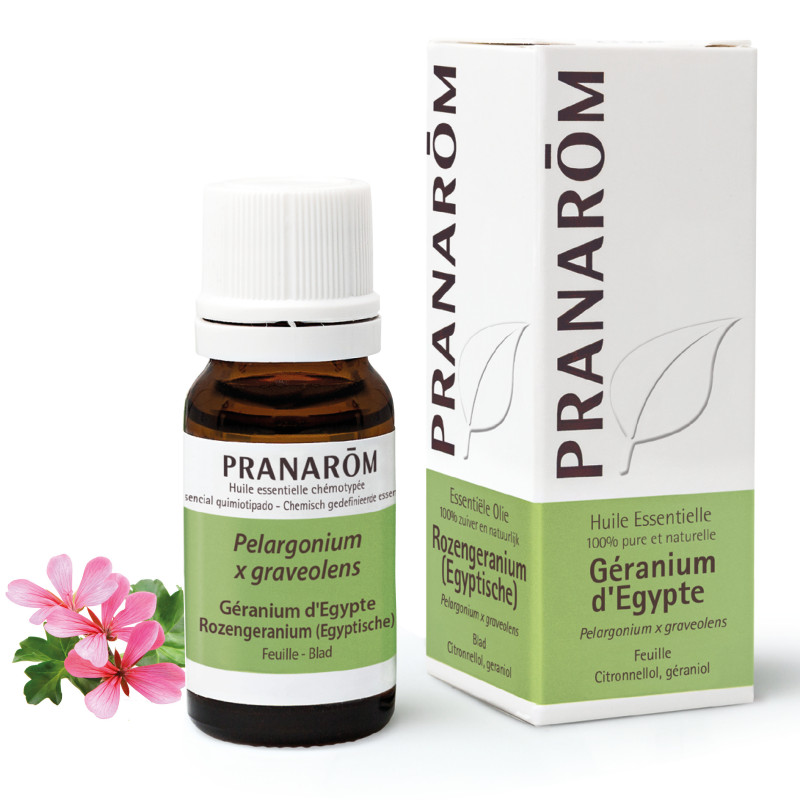 GERANIUM EGYPTE Huile Essentielle GERANIUM EGYPTE Huile Essentielle