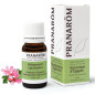 GERANIUM EGYPTE Huile Essentielle GERANIUM EGYPTE Huile Essentielle