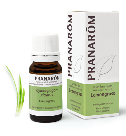 LEMONGRASS Huile Essentielle