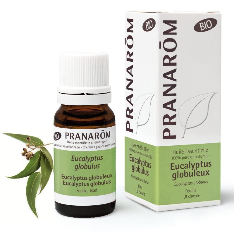 PRANAROM HE BIO EUCALYPT GLOB 10ML