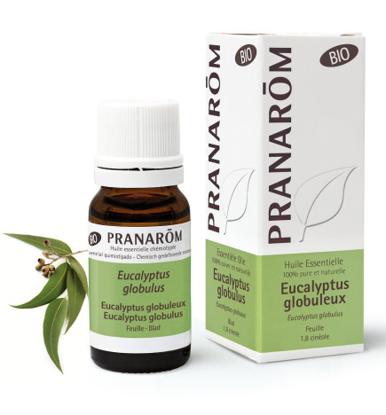 EUCALYPTUS GLOBULEUX BIO Huile Essentielle