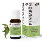 EUCALYPTUS GLOBULEUX BIO Huile Essentielle