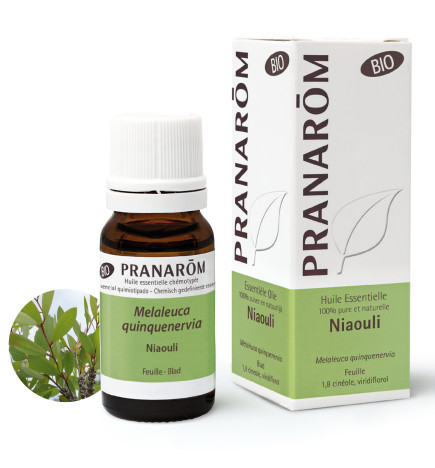 HUILE ESSENTIELLE NIAOULI infections respiratoires