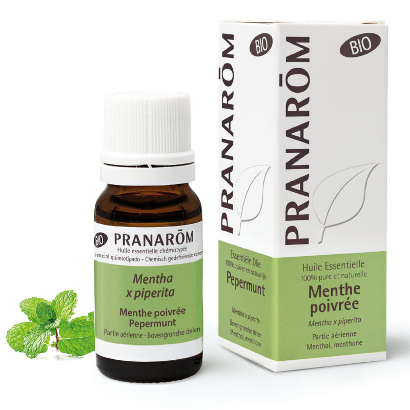 MENTHE POIVREE BIO Huile Essentielle