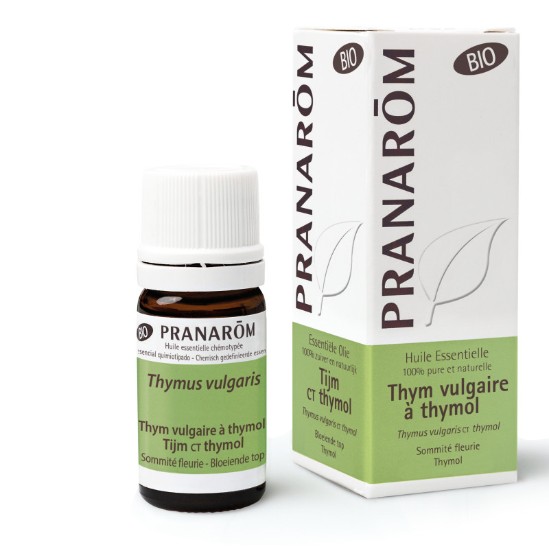 THYM VULGAIRE à THYMOL BIO Huile Essentielle