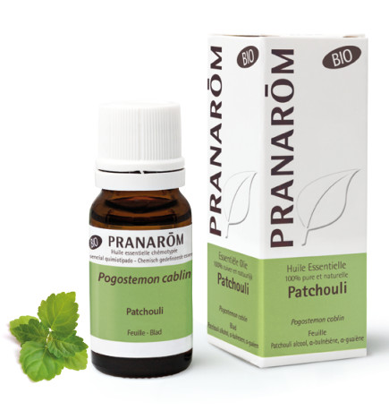 PATCHOULI BIO Huile Essentielle
