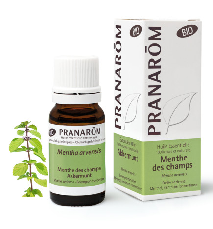 PRANAROM MENTHE CHAMP BIO HE 10ML
