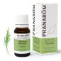 TEA TREE Huile Essentielle