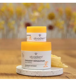 ALVADIEM Onguent réparateur POT 50ML