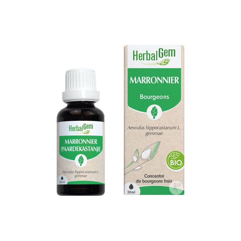 MARRONNIER Bourgeons macérat Bio Herbalgem
