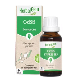 MACERAT CASSIS BIO HERBALGEM