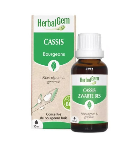 MACERAT CASSIS BIO HERBALGEM